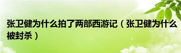 张卫健为什么拍了两部西游记(张卫健为什么被封杀)