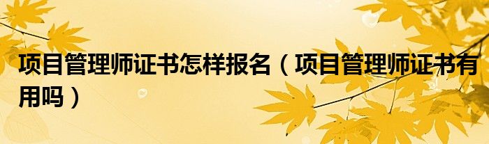 项目管理师证书怎样报名(项目管理师证书有用吗)