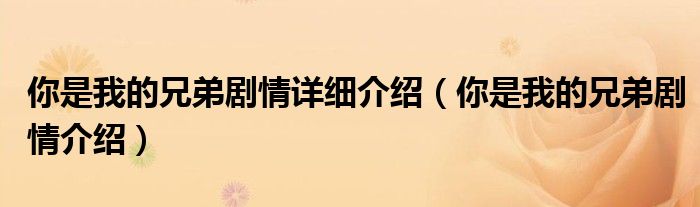 你是我的兄弟剧情详细介绍(你是我的兄弟剧情介绍)
