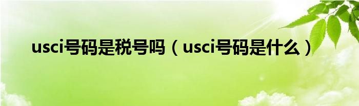 usci号码是税号吗(usci号码是什么)