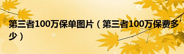 第三者100万保单图片(第三者100万保费多少)