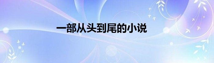 一部从头到尾的小说