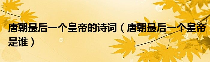 唐朝最后一个皇帝的诗词(唐朝最后一个皇帝是谁)
