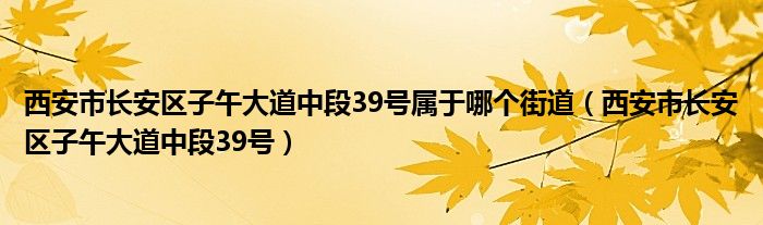 西安市长安区子午大道中段39号属于哪个街道(西安市长安区子午大道中段39号)