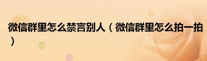 微信群里怎么禁言别人(微信群里怎么拍一拍)