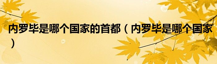 内罗毕是哪个国家的首都(内罗毕是哪个国家)