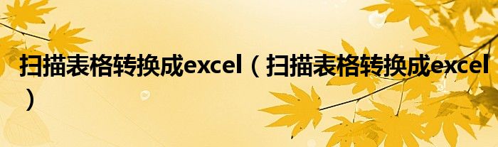 扫描表格转换成excel(扫描表格转换成excel)