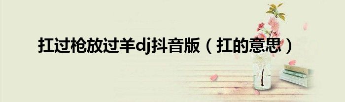 扛过枪放过羊dj抖音版(扛的意思)