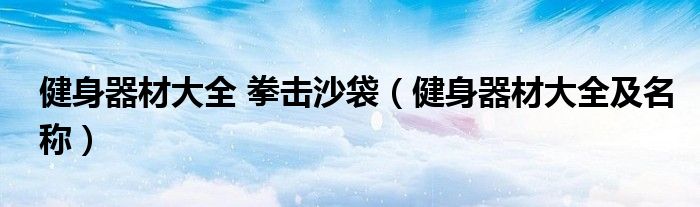 健身器材大全 拳击沙袋(健身器材大全及名称)