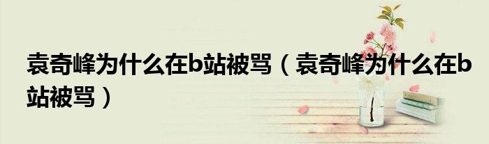 袁奇峰为什么在b站被骂(袁奇峰为什么在b站被骂)