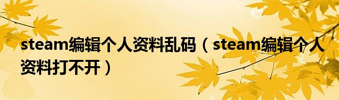steam编辑个人资料乱码(steam编辑个人资料打不开)
