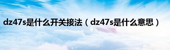 dz47s是什么开关接法(dz47s是什么意思)