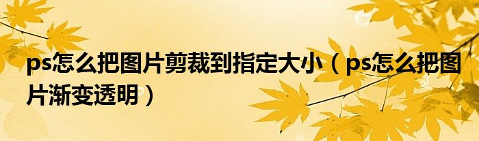 ps怎么把图片剪裁到指定大小(ps怎么把图片渐变透明)