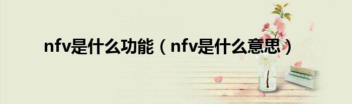 nfv是什么功能(nfv是什么意思)