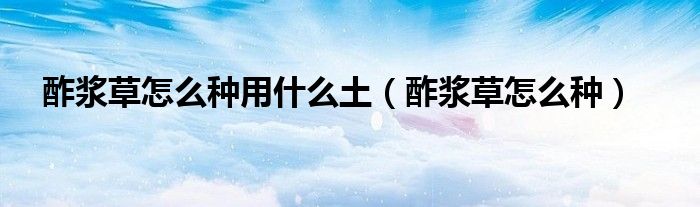 酢浆草怎么种用什么土(酢浆草怎么种)