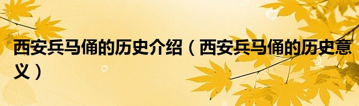 西安兵马俑的历史介绍(西安兵马俑的历史意义)
