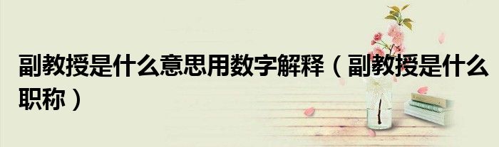副教授是什么意思用数字解释(副教授是什么职称)