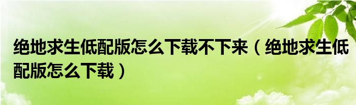 绝地求生低配版怎么下载不下来(绝地求生低配版怎么下载)