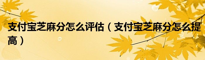 支付宝芝麻分怎么评估(支付宝芝麻分怎么提高)