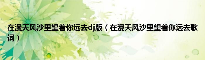 在漫天风沙里望着你远去dj版(在漫天风沙里望着你远去歌词)