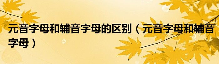 元音字母和辅音字母的区别(元音字母和辅音字母)