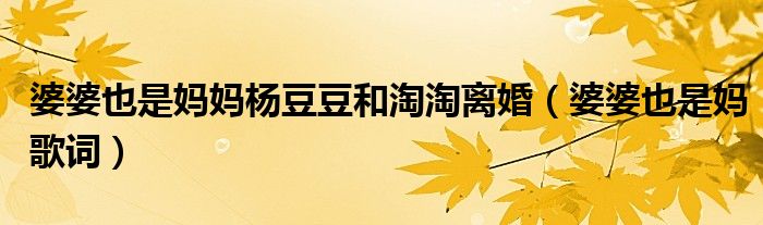婆婆也是妈妈杨豆豆和淘淘离婚(婆婆也是妈歌词)