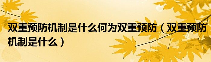 双重预防机制是什么何为双重预防(双重预防机制是什么)
