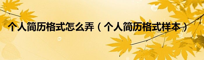 个人简历格式怎么弄(个人简历格式样本)