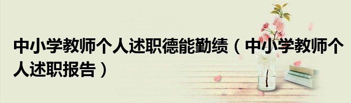 中小学教师个人述职德能勤绩(中小学教师个人述职报告)