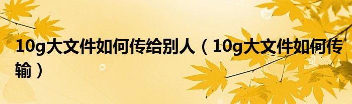 10g大文件如何传给别人(10g大文件如何传输)