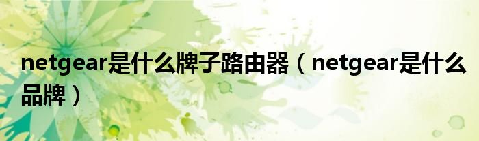 netgear是什么牌子路由器(netgear是什么品牌)