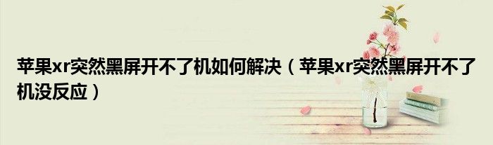 苹果xr突然黑屏开不了机如何解决(苹果xr突然黑屏开不了机没反应)