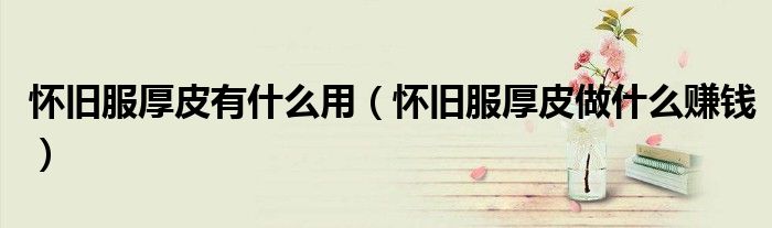 怀旧服厚皮有什么用(怀旧服厚皮做什么赚钱)