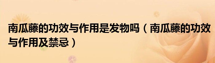 南瓜藤的功效与作用是发物吗(南瓜藤的功效与作用及禁忌)