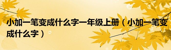 小加一笔变成什么字一年级上册(小加一笔变成什么字)