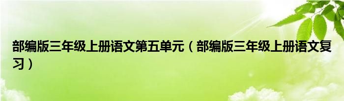 部编版三年级上册语文第五单元(部编版三年级上册语文复习)