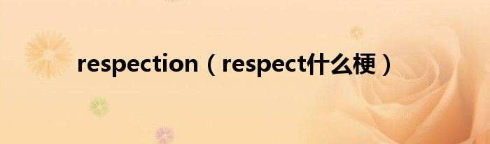 respection(respect什么梗)
