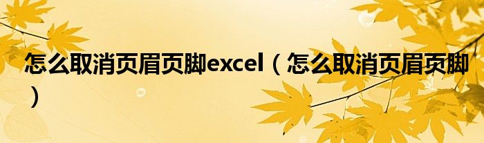 怎么取消页眉页脚excel(怎么取消页眉页脚)