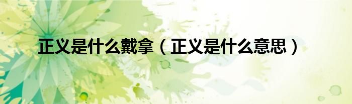 正义是什么戴拿(正义是什么意思)