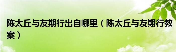 陈太丘与友期行出自哪里(陈太丘与友期行教案)