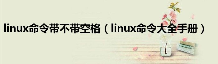 linux命令带不带空格（linux命令大全手册）