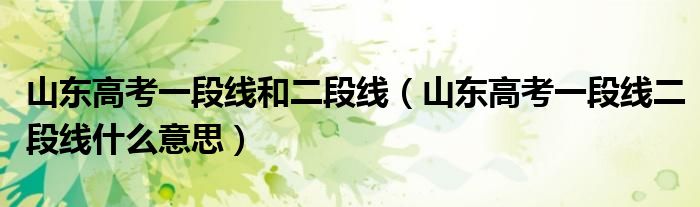 山东高考一段线和二段线(山东高考一段线二段线什么意思)