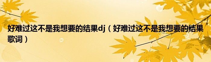 好难过这不是我想要的结果dj(好难过这不是我想要的结果歌词)
