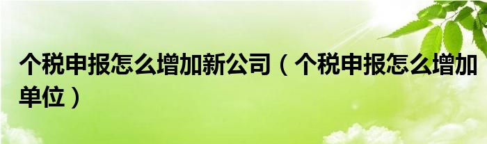 个税申报怎么增加新公司(个税申报怎么增加单位)