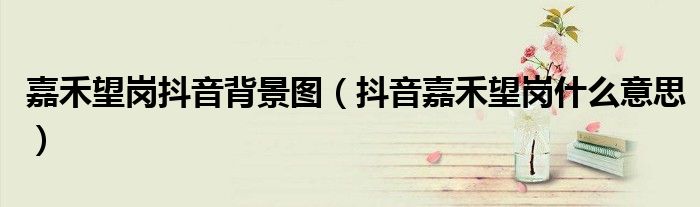 嘉禾望岗抖音背景图(抖音嘉禾望岗什么意思)