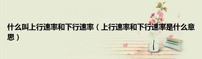 什么叫上行速率和下行速率(上行速率和下行速率是什么意思)