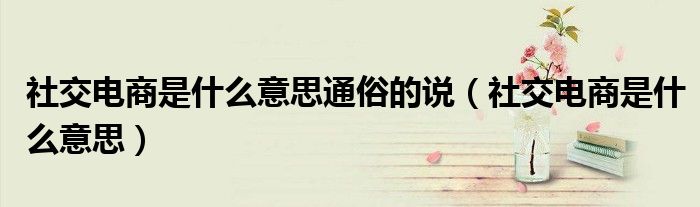 社交电商是什么意思通俗的说(社交电商是什么意思)