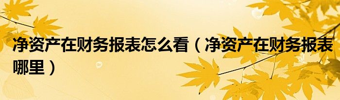 净资产在财务报表怎么看(净资产在财务报表哪里)