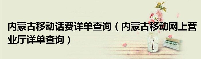 内蒙古移动话费详单查询(内蒙古移动网上营业厅详单查询)