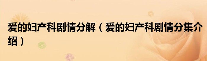 爱的妇产科剧情分解(爱的妇产科剧情分集介绍)